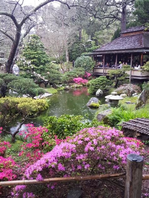 japanese tea garden design